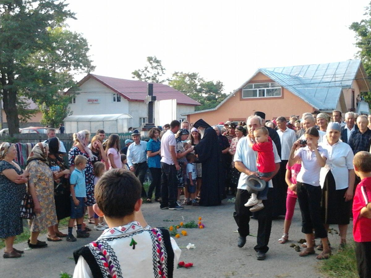 Întâmpinarea IPS Teofan
